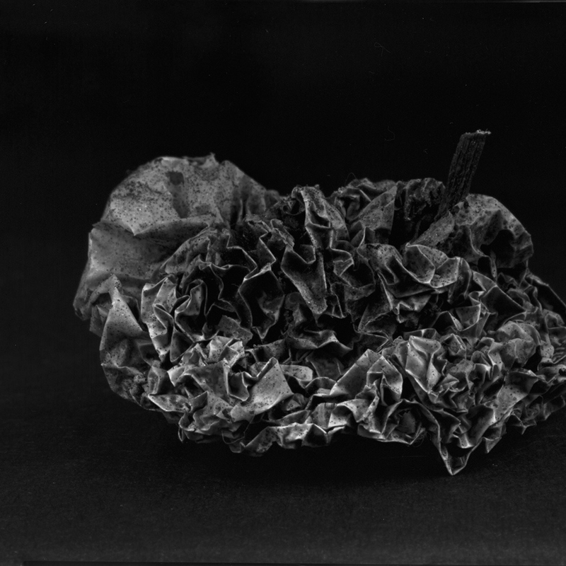 储楚 《物非物——果实》  Chu Chu Material/Immaterial - Fruit  2010