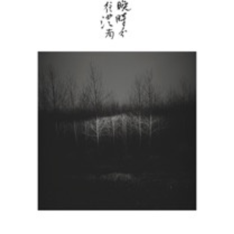 魏壁《梦溪》 Wei Bi Meng Xi 2008