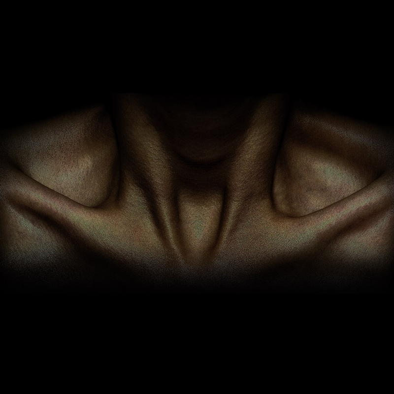 许力静 《或》 Xu Lijing Perhaps 2009