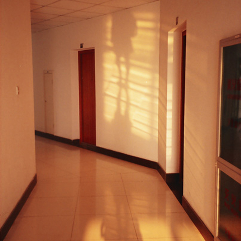 杨亚 《一次恋爱的心情》 Yang Ya A Romantic Experience 2009