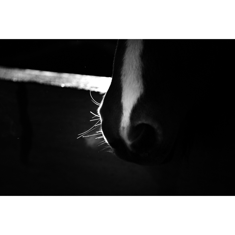 0Eebfe58 229F 4546 99C8 C196464296Ca