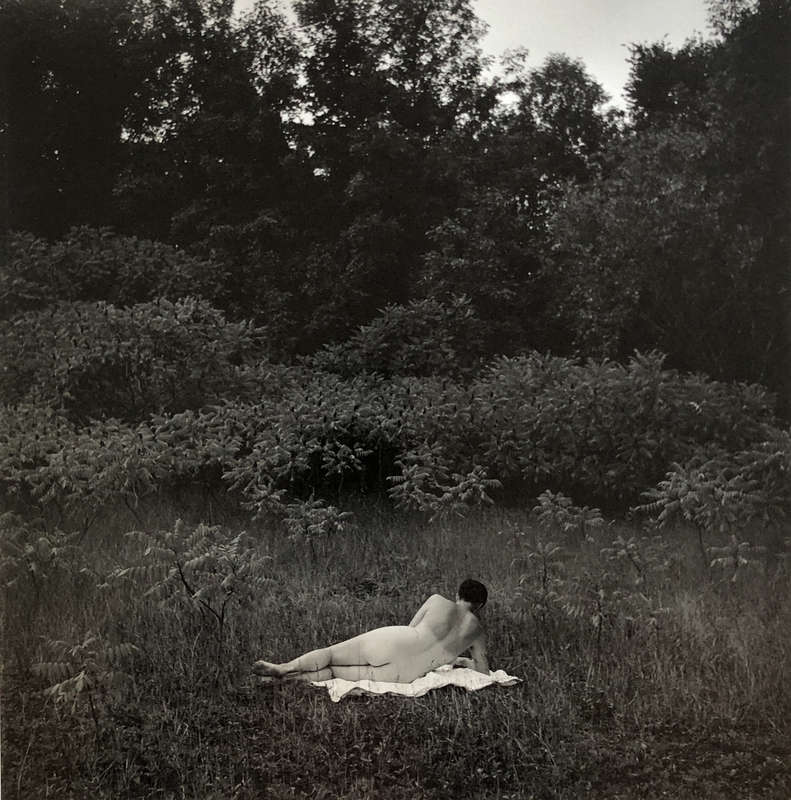 Harry Callahan, Eleanor, Port Huron + Callahan, 1954, 1976