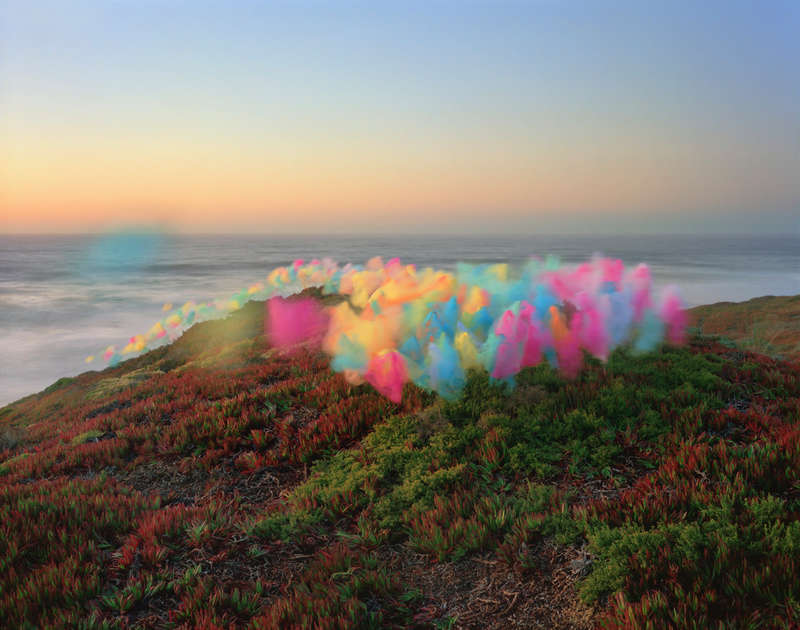 Thomas Jackson, Tulle No. 5, 2019