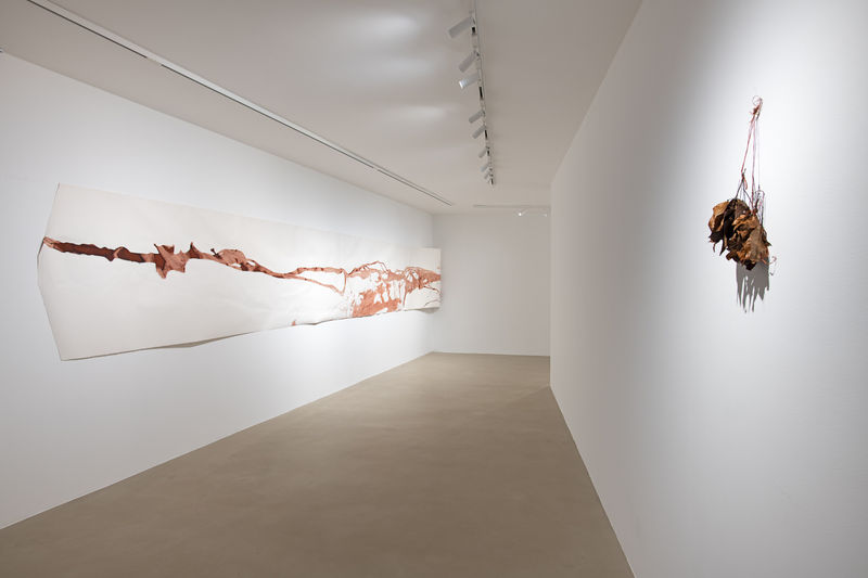 A AMAZONIA, Soundwalk Collective & Patti Smith