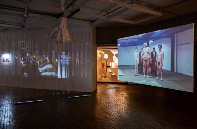 Cantándole a las plantas