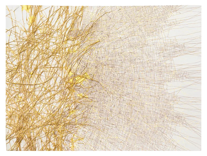 Dhara Mehrotra, Echo VIII, 2024