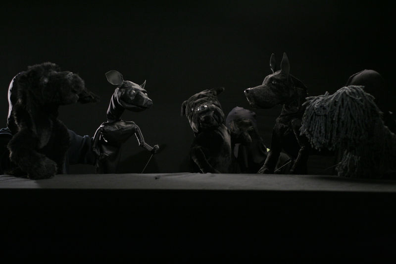 Ciprian Mureşan, Dog Luv, 2009