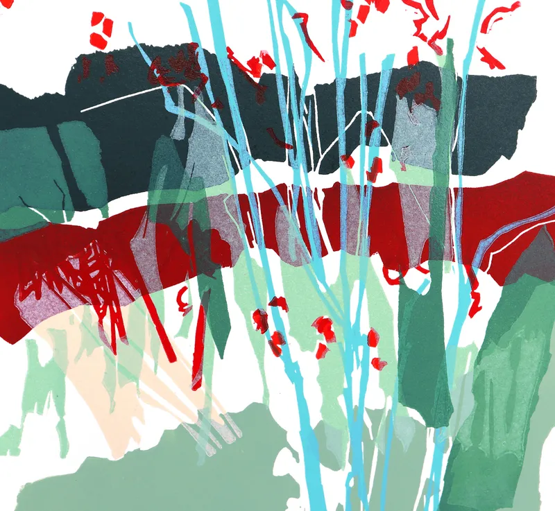 Rachel Gracey RE, Celeastracae