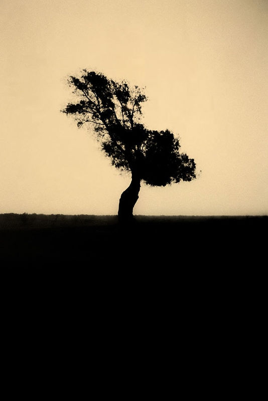 Paul Cupido Yumemiru, 2016 Toned archival pigment print 31 x 22 cm Edition of 10 plus 2 artist's proofs