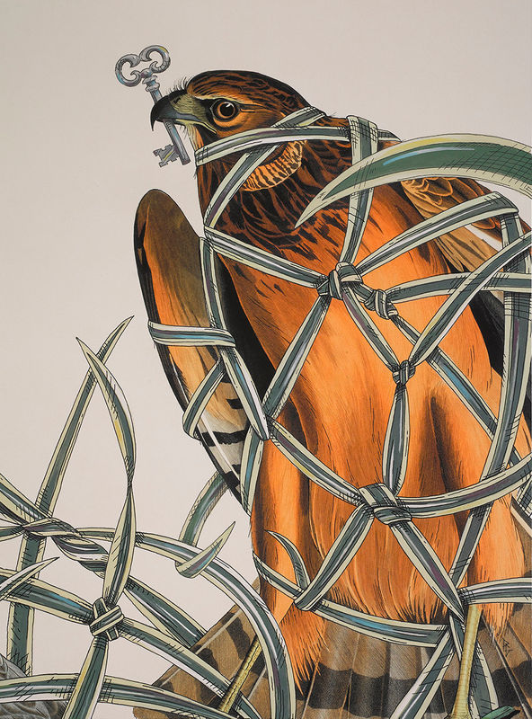 Penelope Gottlieb Arundo Donax, 2015 acrylic and ink on Audubon print 22.25 x 18 inches framed