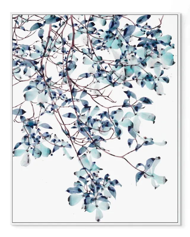 Jackie Battenfield, Arcadian Night, 2025