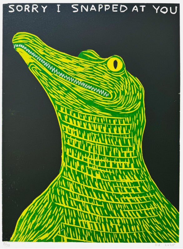 David Shrigley, Sorry I Snapped at You, 2025