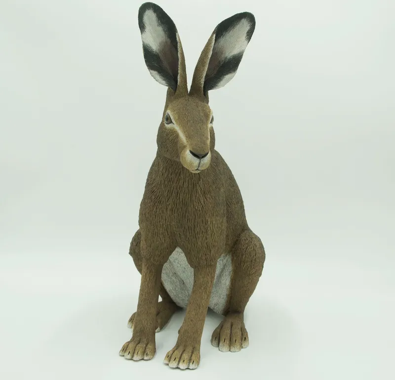 Matthew Edenbrow, Large Hare