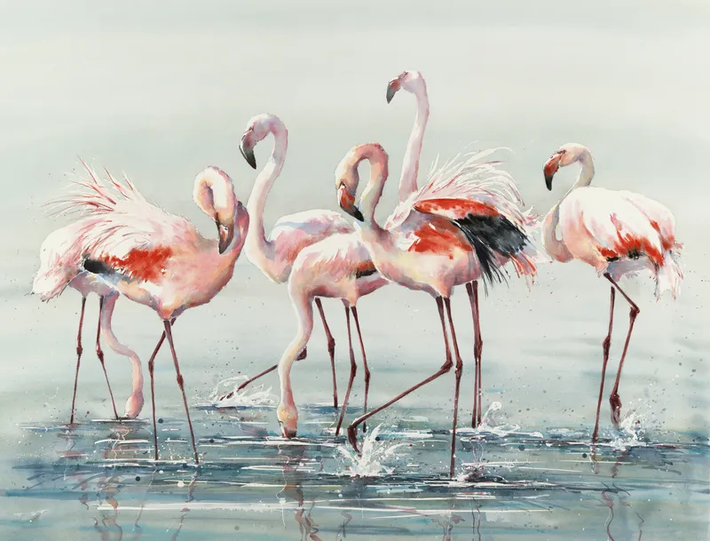Julia Cassels, Flamingo Time