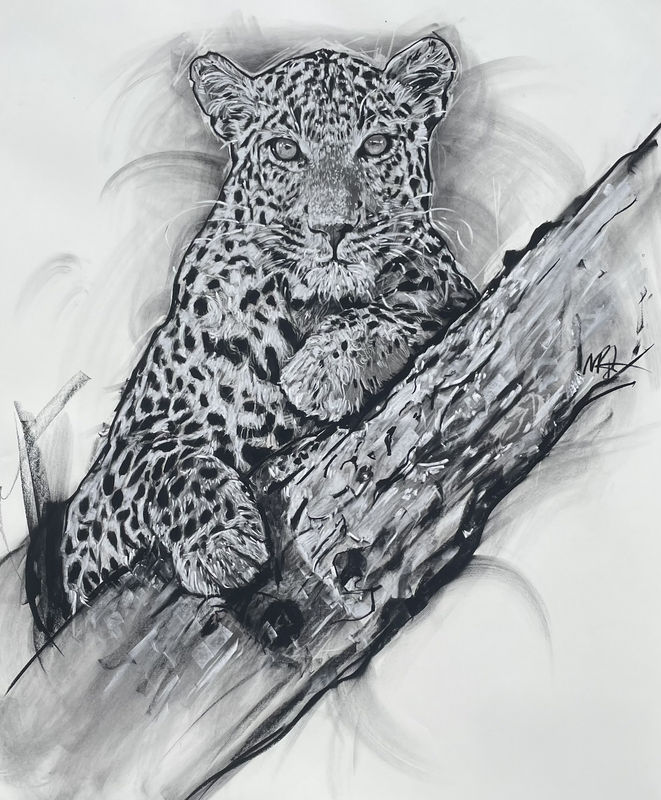 Merlin Bateman-Paris, Leopard III (London Gallery)