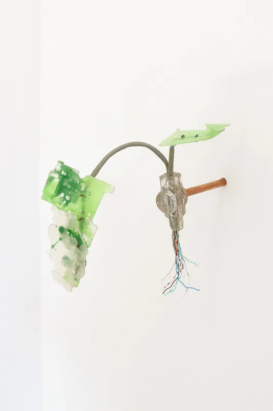 Gillian Brett, Bromus Driandus, 2022