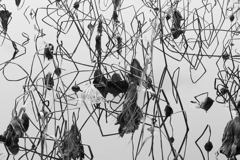 Tomohiro Muda, Mizu 16 (Water 16), 2014