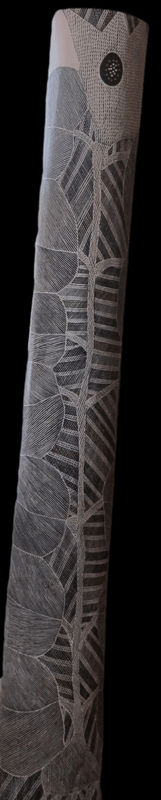 Malaluba Gumana, Wititj, 2013