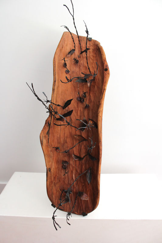 Dominic White, Double Devil Barbed Colonial Orchid, Diuris Raegewropper, 2023