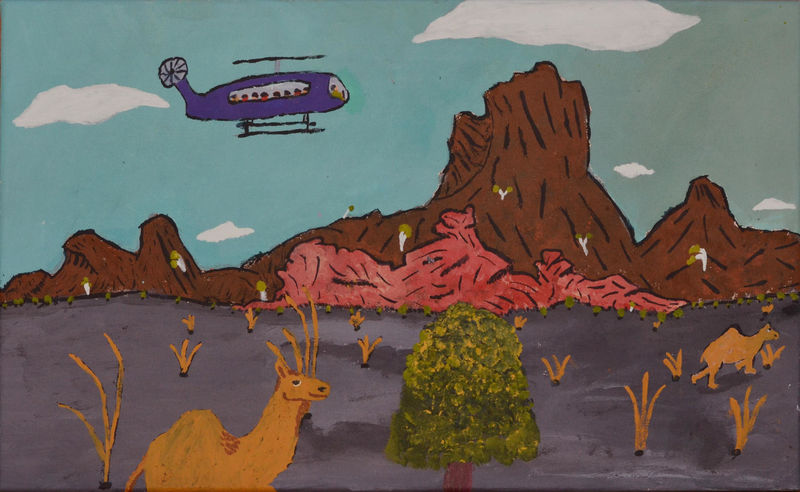 Billy Tjampitjinpa Kenda, Tourists look around countryside from the helicopter, 2017