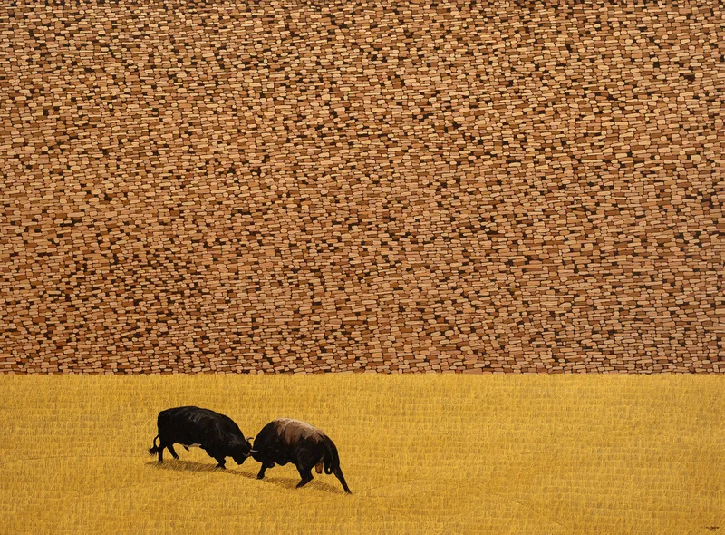 Mehmet Resul Kaçar, Boğa Güreşi II / Bullfighting II, 2025