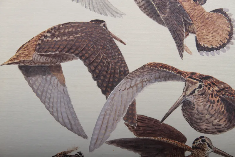 François Lebert, Etude de bécasses