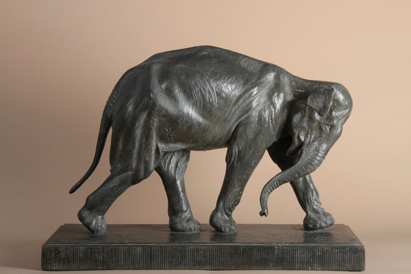 Thierry Van Ryswyck, Elephant d'Asie en marche