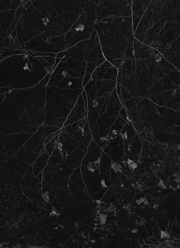 Bryan Schutmaat 42 x 30 cm Edition of 10