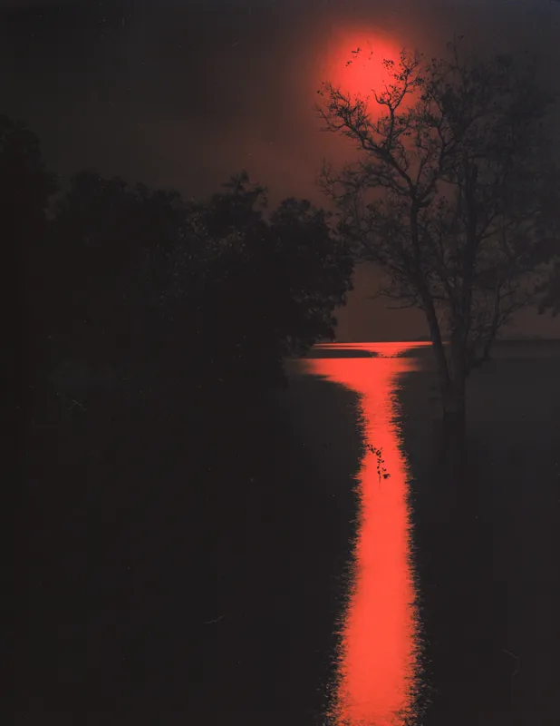 Andrej Lamut, Passing XI, 2024