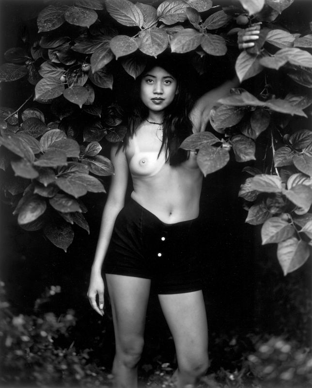 Diana Lui, Brez naslova #24 / Untitled #24, 1991