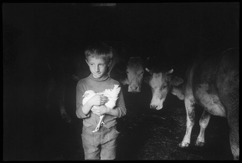 Stojan Kerbler, In Stall 2, cca. 1970