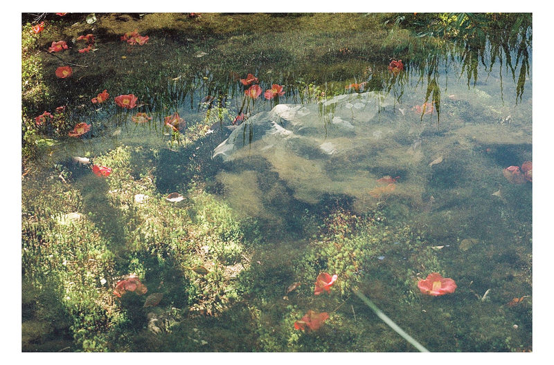 Bojan Brecelj, I AM Nanzen-ji Temple & Torcello, 2023