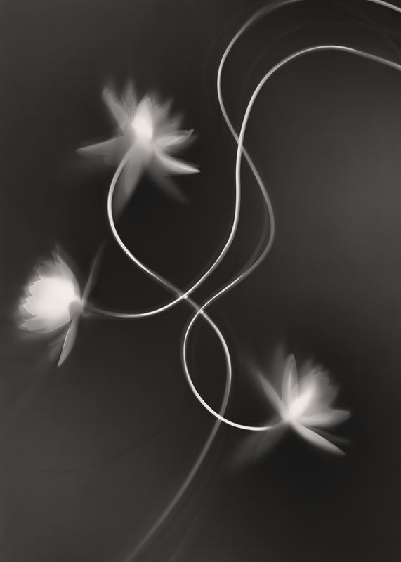 Yumiko Izu, 2020 Utsuroi 129, 2020