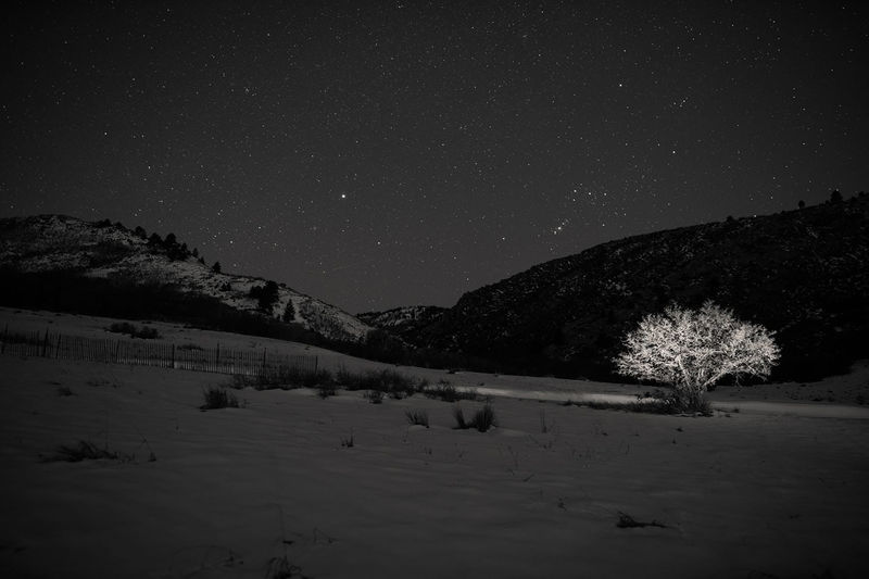 Allen Birnbach, STARLIGHT #18, Ed. 4/25, 2017