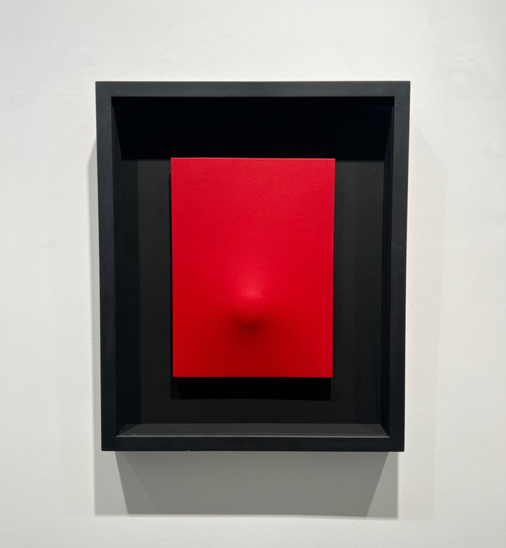Agostino Bonalumi, Rosso (Tele Estroflesse), 2007