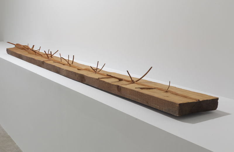 Giuseppe Penone: A Question of Identity 14 November - 22 December 2017