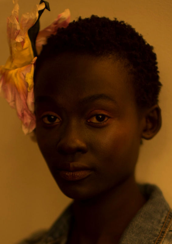 Mark de Paola, Chiara's Flower, 2018