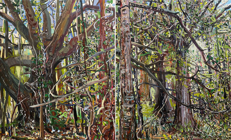 Lilian Garcia-Roig, Oak, Pine & Vine (diptych)