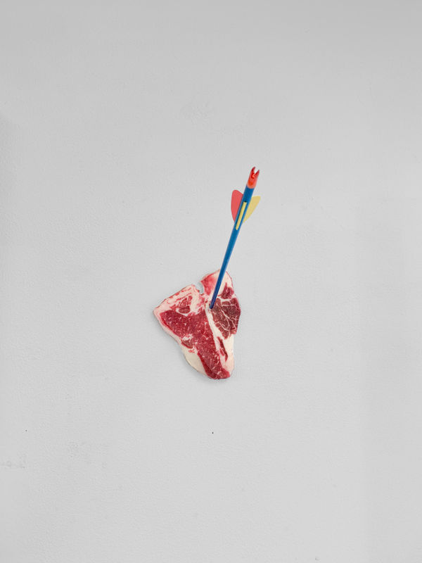 Geke Schalkwijk, The New Hunt: T-Bone, 2024