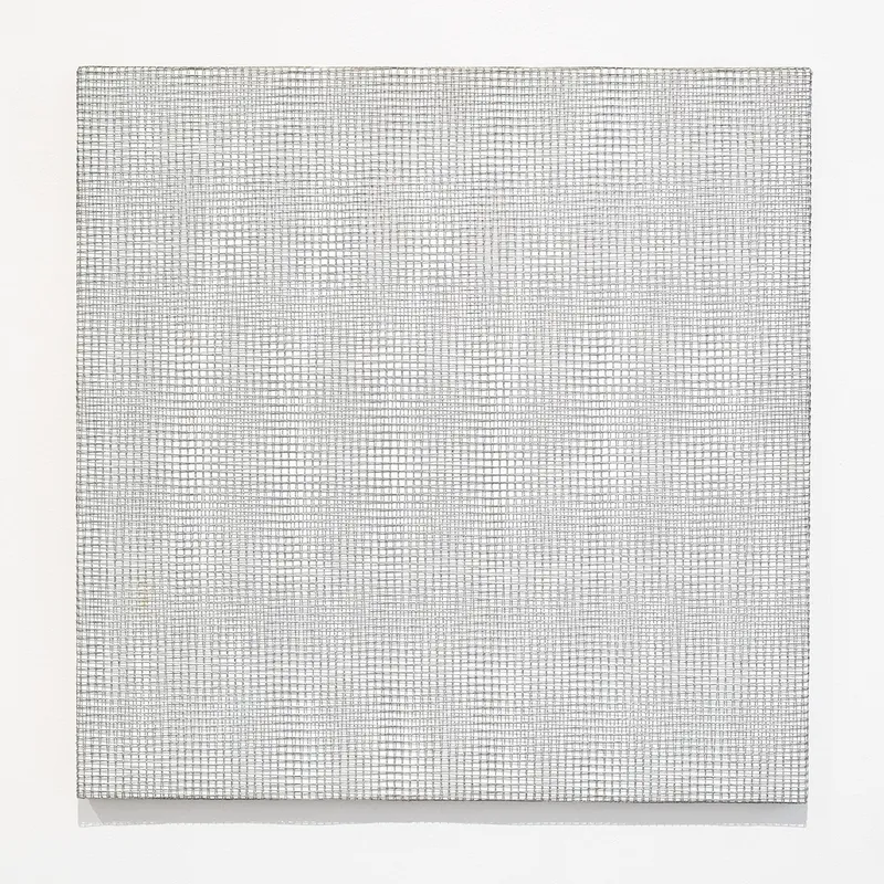 François Morellet, Deux trames de grillage -2+2, 1976