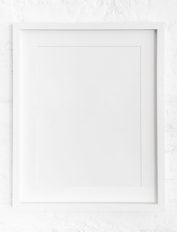 Marcel Schwittlick, Dolphin 47, 2025