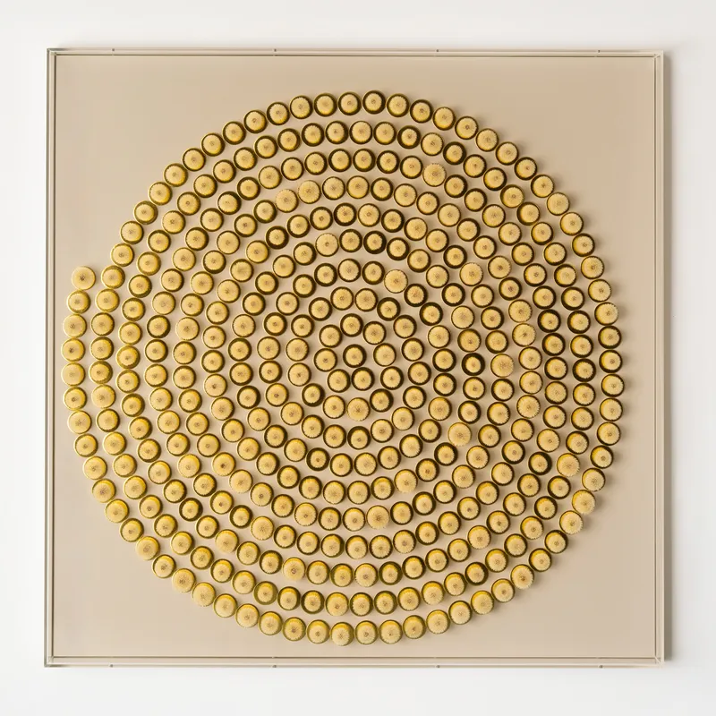 Hilde Trip, Around the Sun