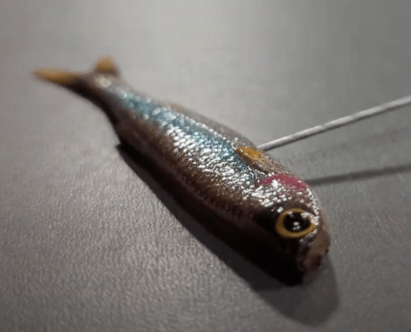 Tom Fairlamb, The Current Current Of Current, 2024