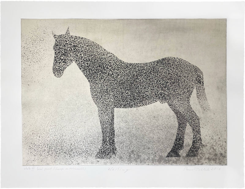 Pawel Zablocki, Waiting, 2016