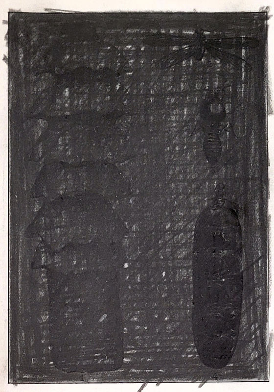 Jan FABRE, Insectensculpturen & ervaringen, 1979