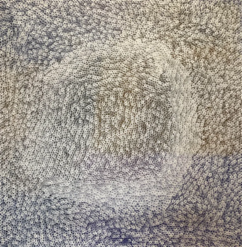 Amy Yilpi, Maku, 2026