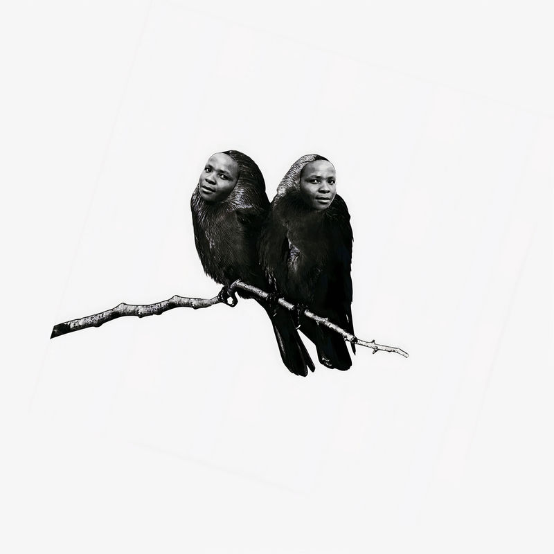 Tshepiso Moropa, 2, 2025