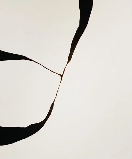 Alicia Gimeno | Seijaku