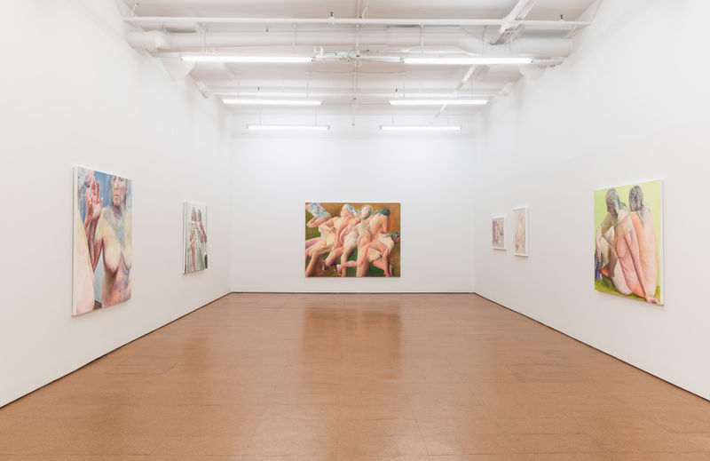 Installation view: Joan Semmel, Alexander Gray Associates, New York, 2013