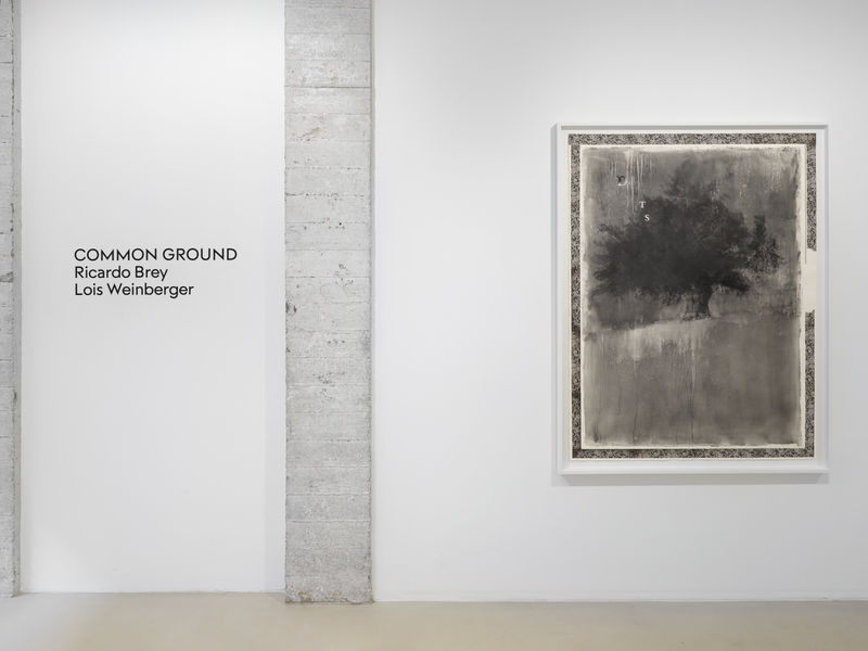 Installation view: Common Ground with Lois Weinberger, Keteleer Gallery, Antwerp, Belgium, 2023. Photo: Alexey Shlyk